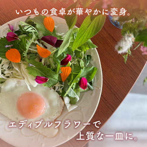 10021742_66fd075f67dc9.jpg