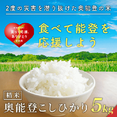 【奥能登復興支援!】精米コシヒカリ5kg