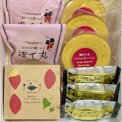 畑からの贈りもの〈実〉セット