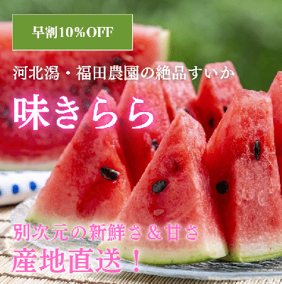 【早割10%OFF】糖度13度!河北潟産すいか「味きらら」(6〜7kg・産地直送・送料込)