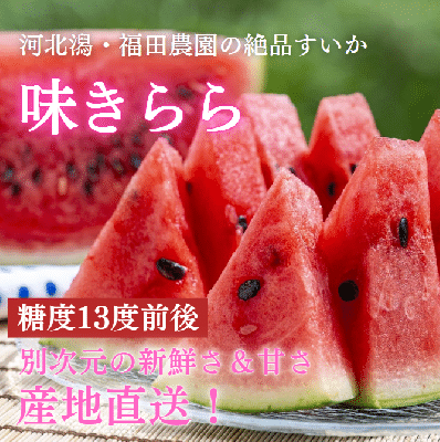 作り続けて67年 河北潟干拓地から産地直送！新鮮シャキ甘！ 福田農園の