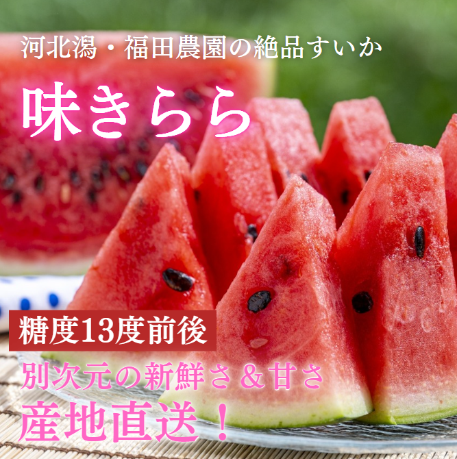 糖度約13度!河北潟産すいか「味きらら」(6〜7kg・産地直送・送料込)