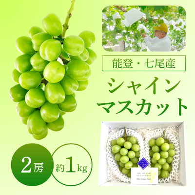 【数量限定】能登・七尾産 シャインマスカット 秀品 2房 約1kg ギフト