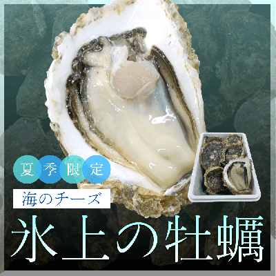 能登産 天然岩牡蠣(中サイズ10個)|殻付き・生食用