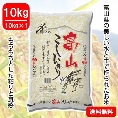 【令和5年産】富山県産[こしひかり]　10kg(10kg×1袋)