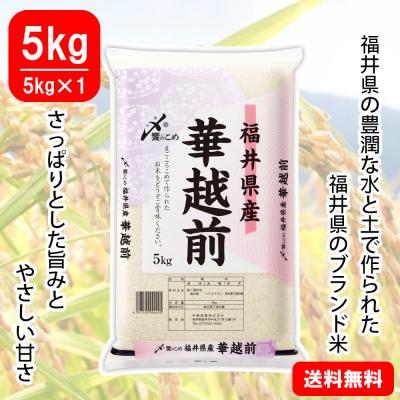 【令和6年産】福井県産[華越前]　5kg