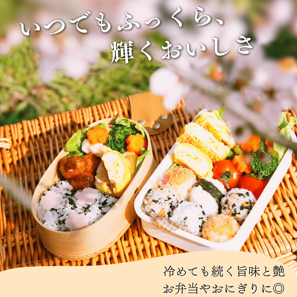 つきあかり①