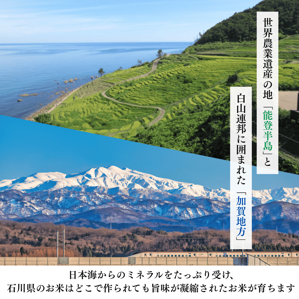 石川のお米①