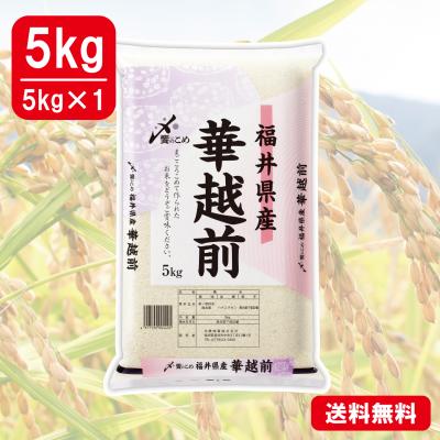 新米【令和7年産】福井県産[華越前]　5kg