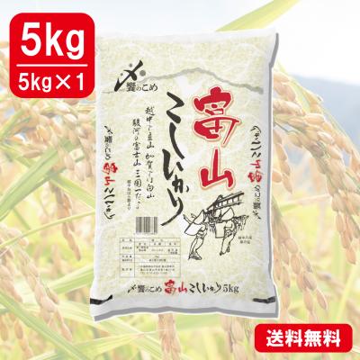 【令和6年産】富山県産[こしひかり]　5kg