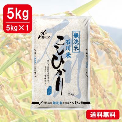【令和6年産】無洗米 石川県産[こしひかり]　5kg