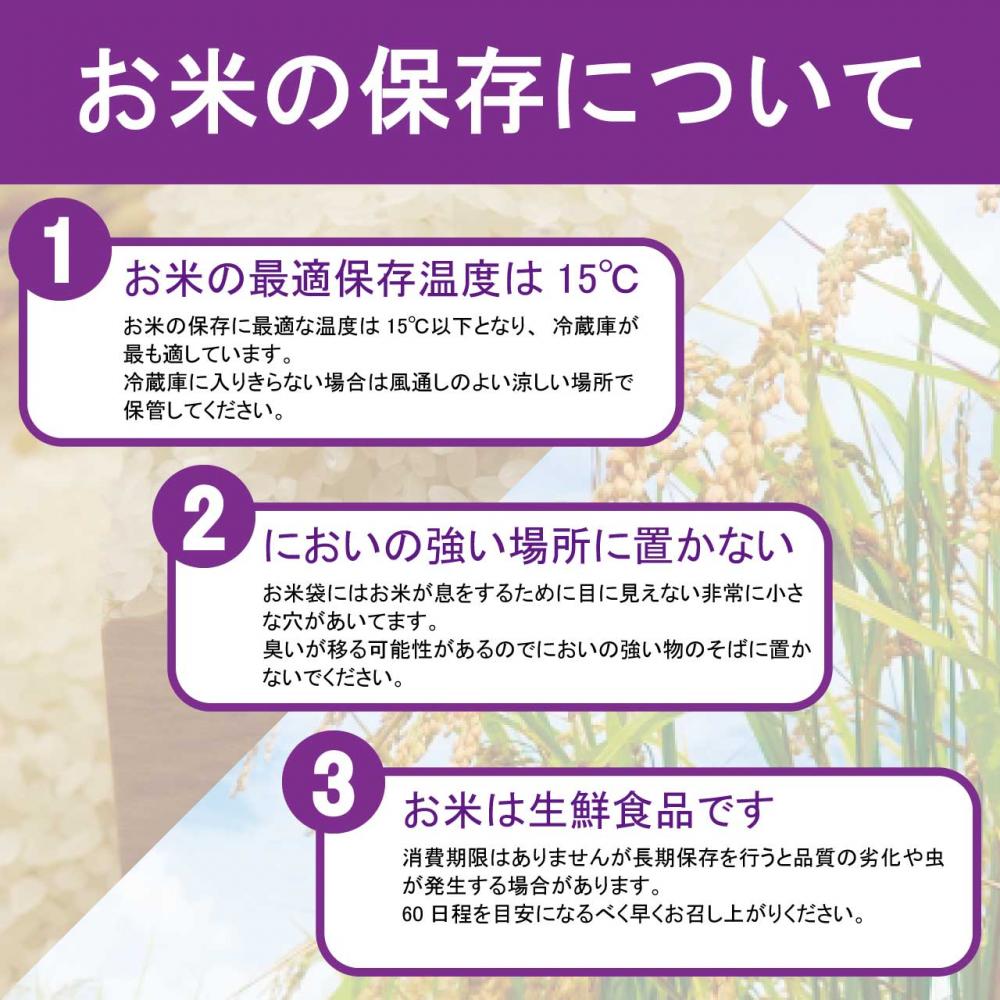 お米の保存