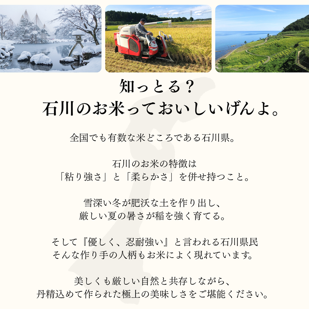 石川のお米②