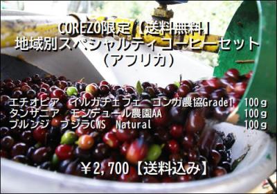 アフリカ　スペシャルティコーヒーセット　100g×3袋