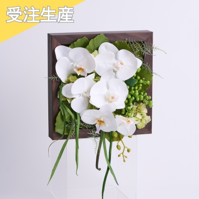 【受注生産】 ファレノ　フューメ
