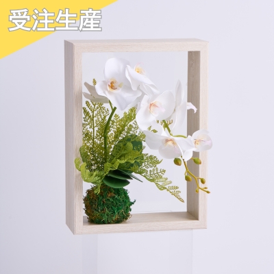 【受注生産】 ファレノ　ビュー