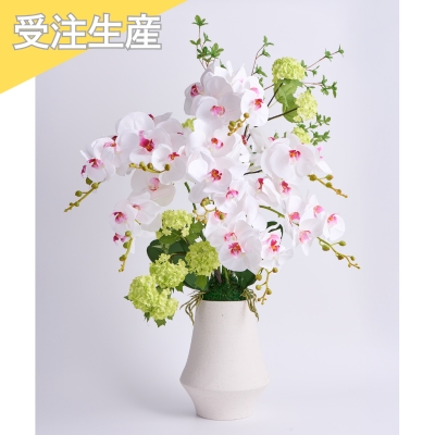 【受注商品】ファレノ ブリーズ