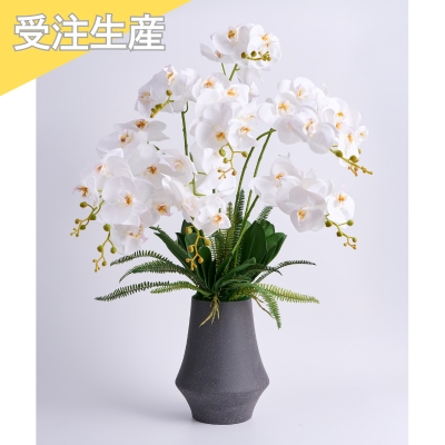 【受注商品】ファレノ グランデ