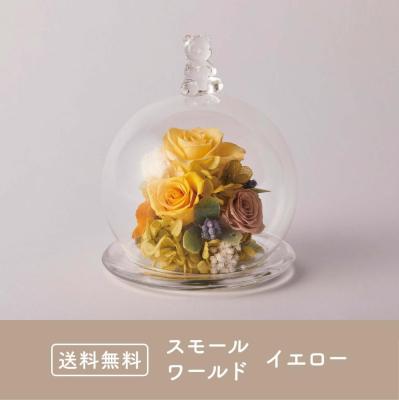 スモールワールド イエロー