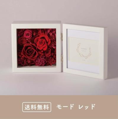 【予約商品】モード レッド