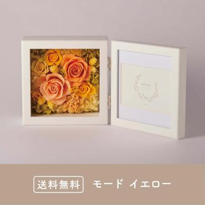 【予約商品】モード イエロー