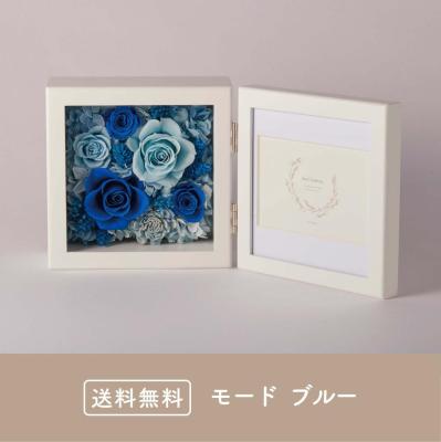 【予約商品】モード ブルー