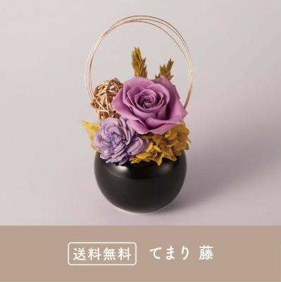 てまり 藤