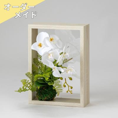 【受注生産】 ファレノ　ビュー
