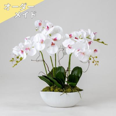 【受注商品】ファレノ サンク