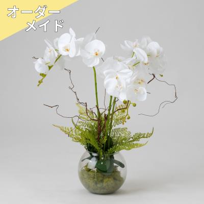 【受注商品】ファレノ アクア