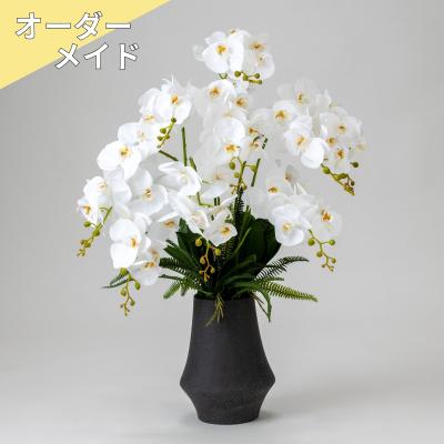 【受注商品】ファレノ グランデ