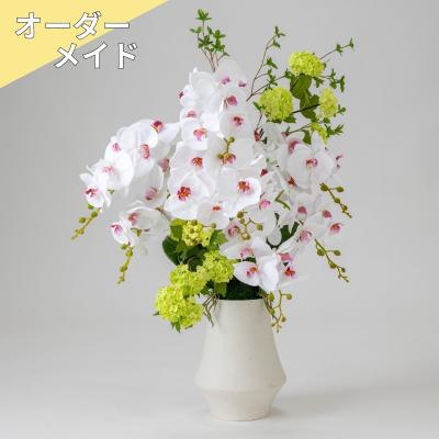 【受注商品】ファレノ ブリーズ