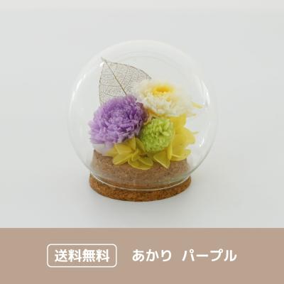 あかり パープル