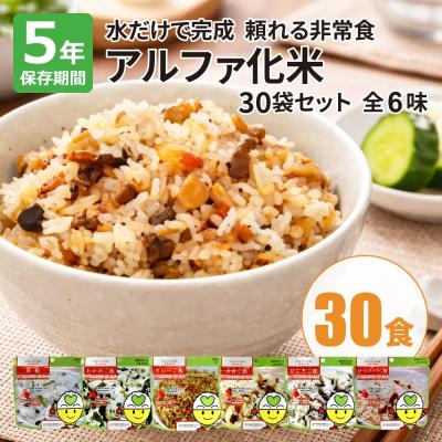 アルファ化米 30袋セット(全6味)