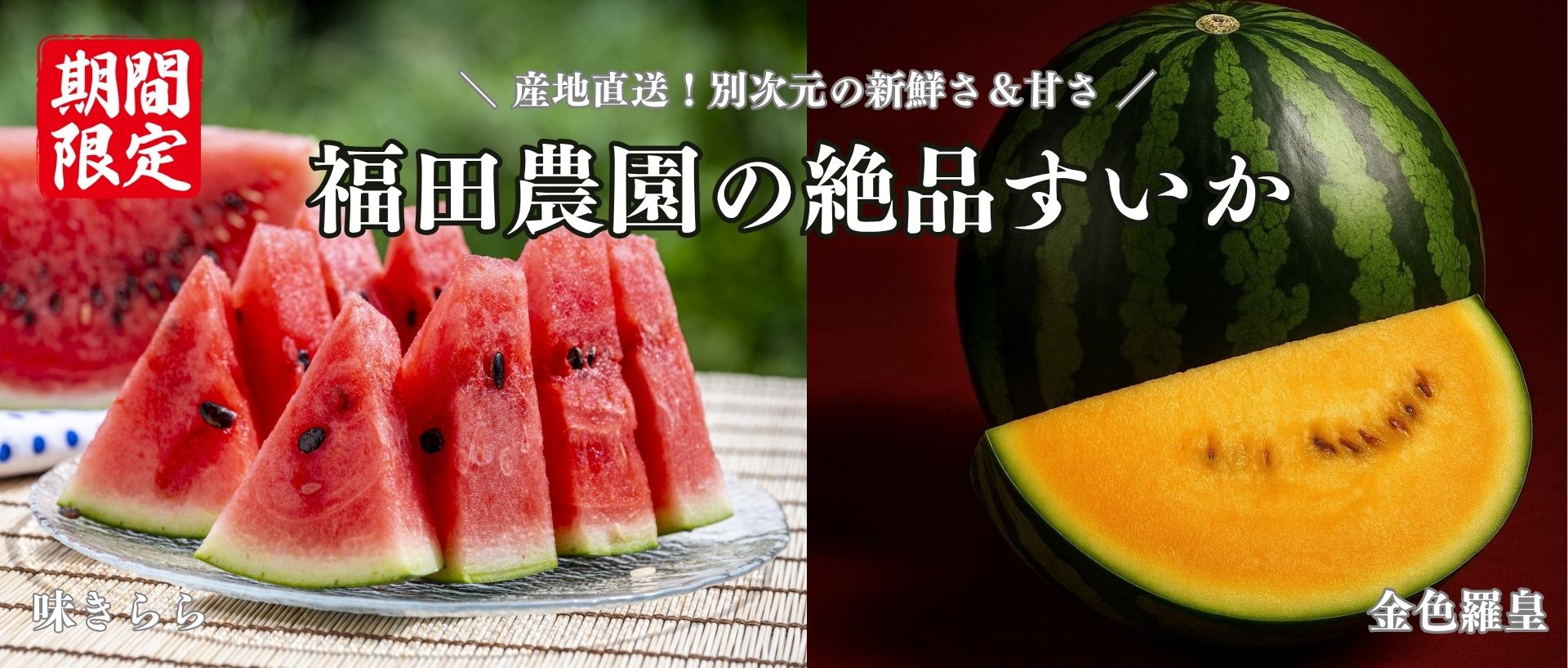 福田農園のスイカ特集