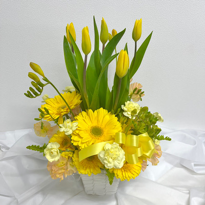 【春】アレンジメント(チューリップ)