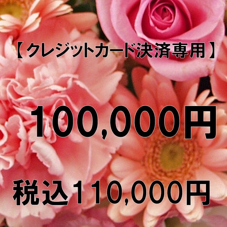 クレジット決済専用税抜100,000円