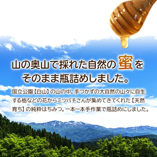 11101613_67305d141f659.png