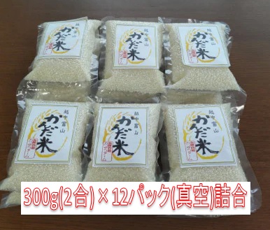 令和5年産　精米　富山県産『かんだ米』コシヒカリ 300g(2合)×12袋(真空)