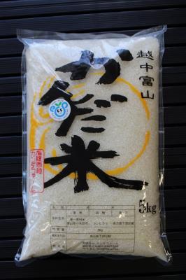 令和5年富山県産　精米『かんだ米』コシヒカリ 5kg