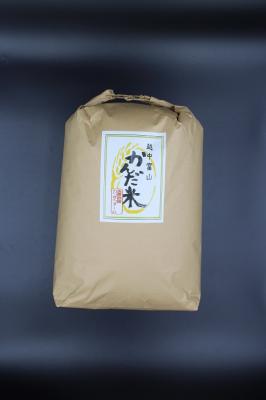 令和5年富山県産　玄米『かんだ米』コシヒカリ 10kg