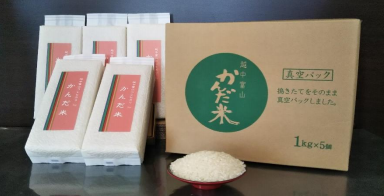 令和4年産　真空パック化粧箱入り　精米　鮮度の米『かんだ米』コシヒカリ(1kg×5袋)