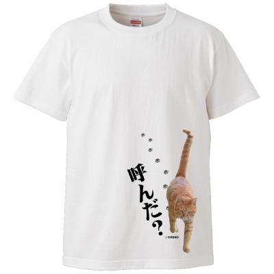 【実写猫シリーズ】Tシャツ半袖ホワイトMサイズ「呼んだ?」