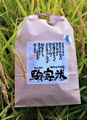 2025年度米 特別栽培米コシヒカリ 山田のいちばん星・駒寄米 5kg 玄米