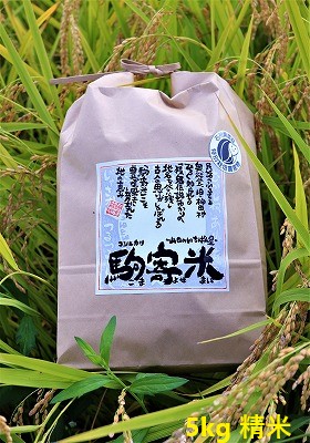 2025年度米 特別栽培米コシヒカリ 山田のいちばん星・駒寄米 5kg 精米