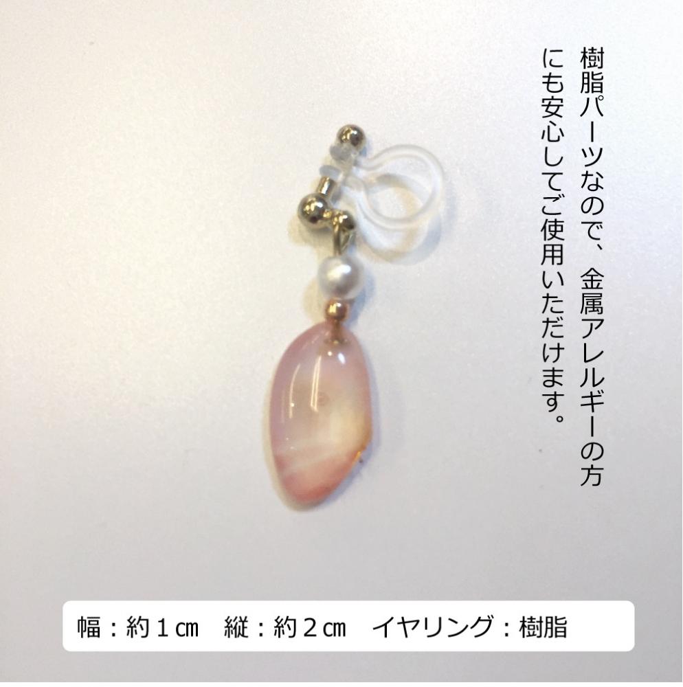 桜貝イヤリング