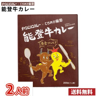 2人前 金沢カレー チャンピオンカレー × てらおか風舎　能登牛カレー レトルトカレー 2食 / カ