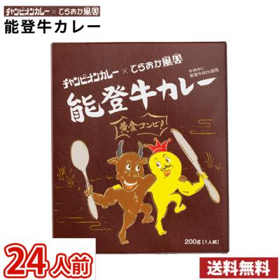 24人前 金沢カレー チャンピオンカレー × てらおか風舎　能登牛カレー レトルトカレー 24食