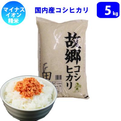 精米 5kg 国内産 故郷コシヒカリ 令和6年産　新米 