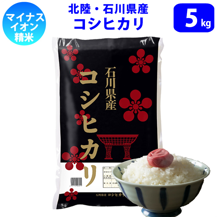 精米 5kg 北陸・石川県産 コシヒカリ 令和7年産 新米